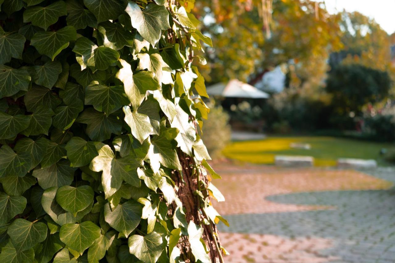 Villa Benz Hotel Garni Schwetzingen Exterior foto